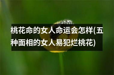 桃花命的女人命运会怎样(五种面相的女人易犯烂桃花)