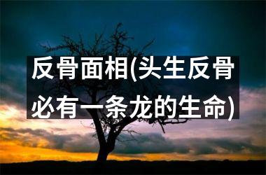 <h3>反骨面相(头生反骨必有一条龙的生命)