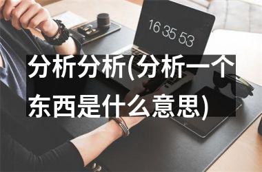 分析分析(分析一个东西是什么意思)