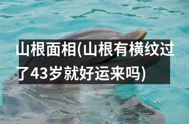 山根面相(山根有横纹过了43岁就好运来吗)