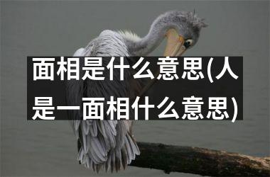 面相是什么意思(人是一面相什么意思)