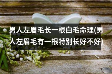 男人左眉毛长一根白毛命理(男人左眉毛有一根特别长好不好)