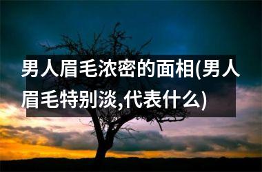 男人眉毛浓密的面相(男人眉毛特别淡,代表什么)