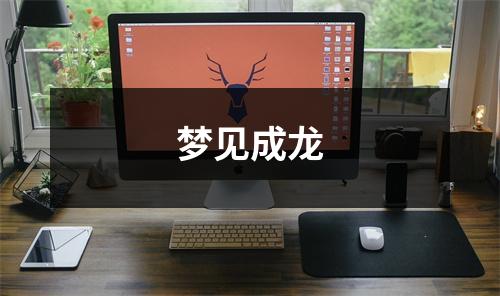 <h3>梦见成龙
