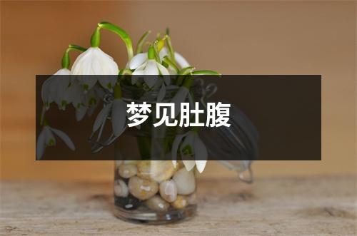 <h3>梦见肚腹