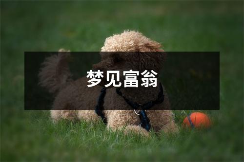 <h3>梦见富翁