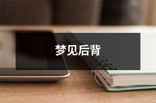 <h3>梦见后背