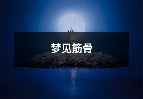 <h3>梦见筋骨