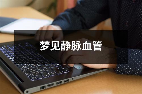 <h3>梦见静脉血管