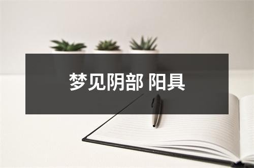 <h3>梦见阴部阳具