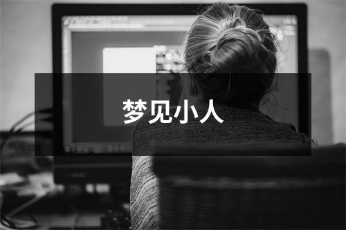 <h3>梦见小人