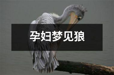 孕妇梦见狼