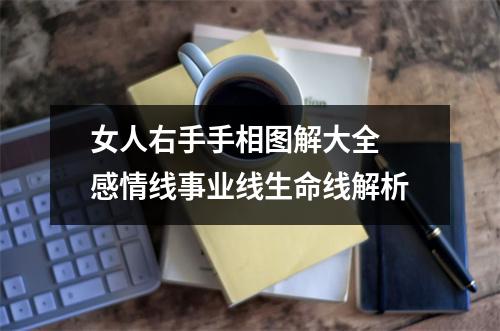 女人右手手相图解大全感情线事业线生命线解析