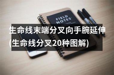 生命线末端分叉向手腕延伸(生命线分叉20种图解)