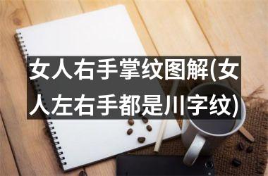 女人右手掌纹图解(女人左右手都是川字纹)