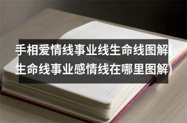 手相爱情线事业线生命线图解(生命线事业感情线在哪里图解)