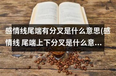 感情线尾端有分叉是什么意思(感情线 尾端上下分叉是什么意思)