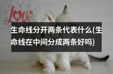 <h3>生命线分开两条代表什么(生命线在中间分成两条好吗)