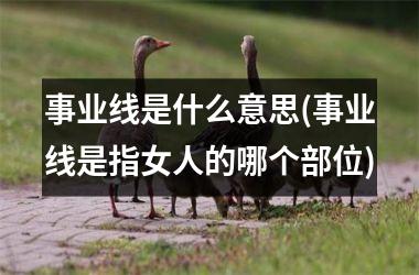 <h3>事业线是什么意思(事业线是指女人的哪个部位)