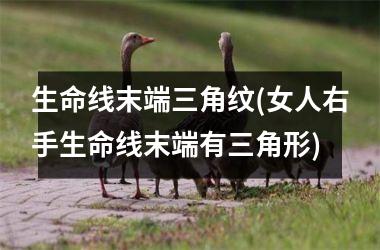 <h3>生命线末端三角纹(女人右手生命线末端有三角形)