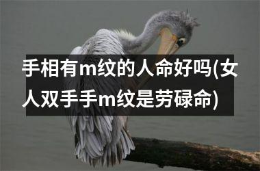 手相有m纹的人命好吗(女人双手手m纹是劳碌命)