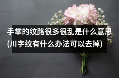 手掌的纹路很多很乱是什么意思(川字纹有什么办法可以去掉)