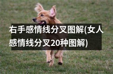 <h3>右手感情线分叉图解(女人感情线分叉20种图解)