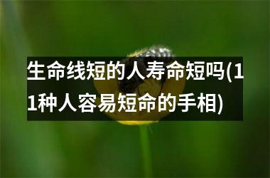 <h3>生命线短的人寿命短吗(11种人容易短命的手相)