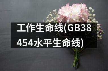 工作生命线(GB38454水平生命线)