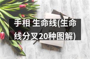 <h3>手相 生命线(生命线分叉20种图解)