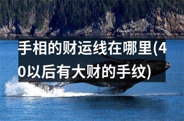 手相的财运线在哪里(40以后有大财的手纹)