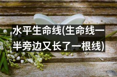 <h3>水平生命线(生命线一半旁边又长了一根线)