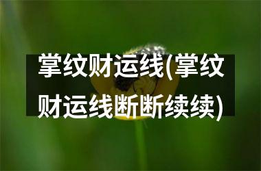 掌纹财运线(掌纹财运线断断续续)