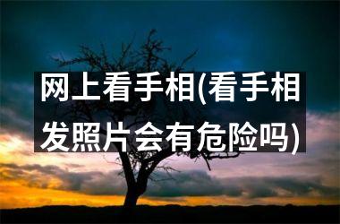 网上看手相(看手相发照片会有危险吗)