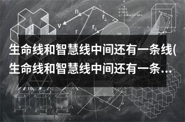 生命线和智慧线中间还有一条线(生命线和智慧线中间还有一条短的线)