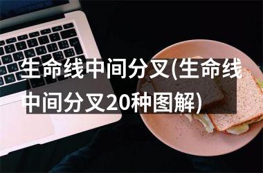 生命线中间分叉(生命线中间分叉20种图解)