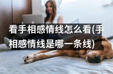 看手相感情线怎么看(手相感情线是哪一条线)