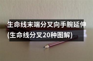 生命线末端分叉向手腕延伸(生命线分叉20种图解)