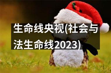 生命线央视(社会与法生命线2025)