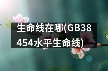 生命线在哪(GB38454水平生命线)