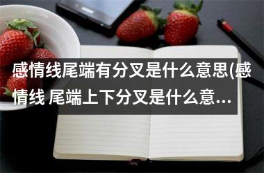 <h3>感情线尾端有分叉是什么意思(感情线 尾端上下分叉是什么意思)