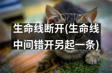 <h3>生命线断开(生命线中间错开另起一条)