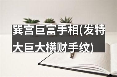 巽宫巨富手相(发特大巨大横财手纹)