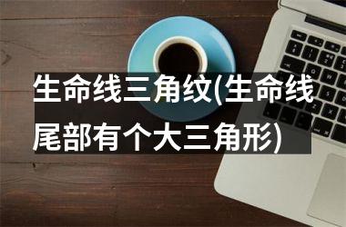 生命线三角纹(生命线尾部有个大三角形)