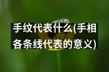 手纹代表什么(手相各条线代表的意义)