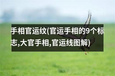 手相官运纹(官运手相的9个标志,大官手相,官运线图解)