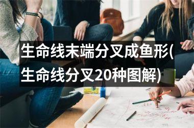 生命线末端分叉成鱼形(生命线分叉20种图解)