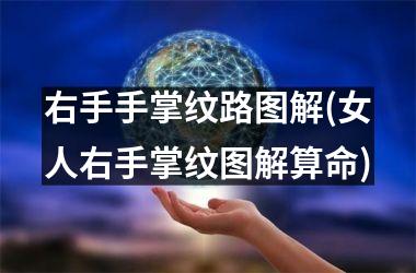 右手手掌纹路图解(女人右手掌纹图解算命)