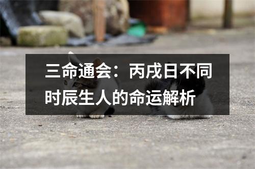 <h3>三命通会：丙戌日不同时辰生人的命运解析