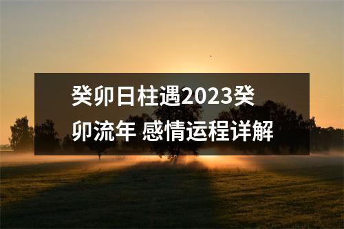 <h3>癸卯日柱遇2023癸卯流年感情运程详解